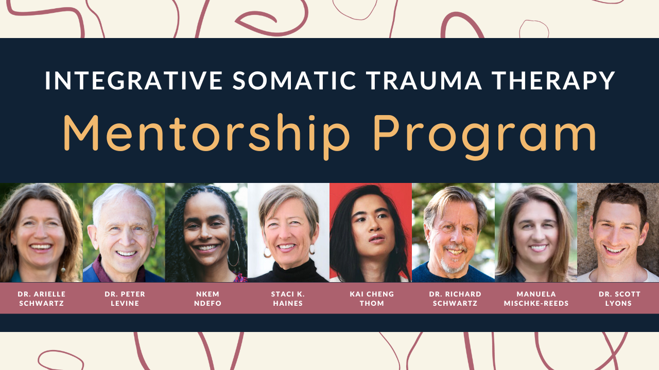 Integrative Somatic Trauma Therapy Mentorship Program