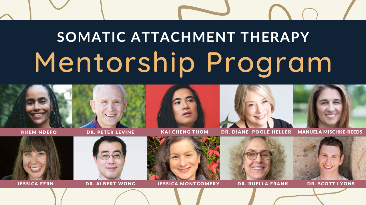 Somatic Attachment Therapy Mentorship Program