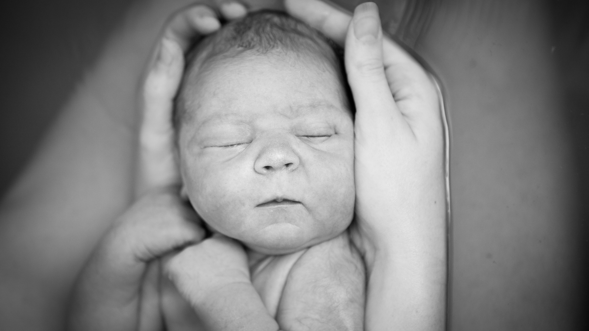 A sleeping newborn infant is cradled in hands.